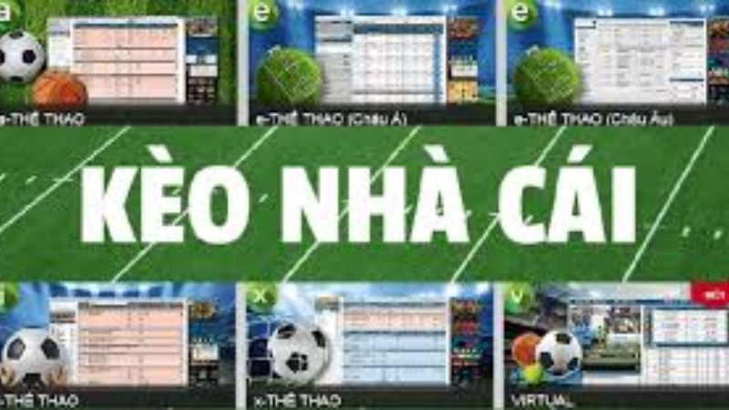 Hướng dẫn chi tiết cách xem tỷ lệ kèo bóng đá chuẩn xác.